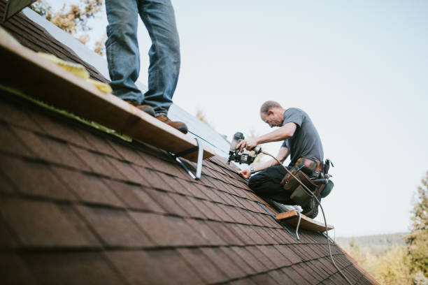 Gutter Installation and Roofing in South Alamo, TX