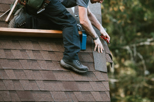 Best Storm Damage Roof Repair  in South Alamo, TX